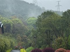 -杭州开元森泊度假乐园