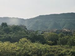 -缙云山景区
