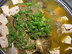 -探鱼·鲜青椒爽麻烤鱼(北京路天河城店)