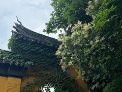 -西园戒幢律寺