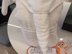 -天目湖涵田度假村