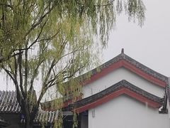 -百脉泉景区