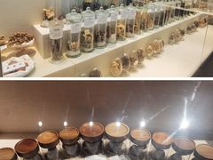 -广东中医药博物馆