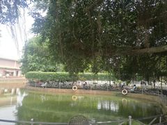 -侯臣咖啡文化村