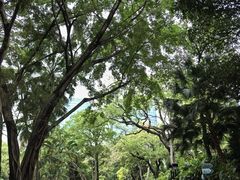 -九龙公园