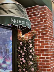 -茉柠Morning Nails