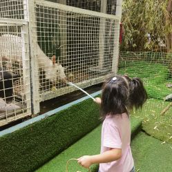 -可可天空农场(中大店)