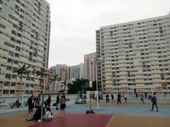 -彩虹村