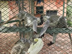 -水上乐园·欢乐世界