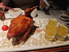-大鸽饭(动物园店)