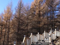 -苏木山森林公园