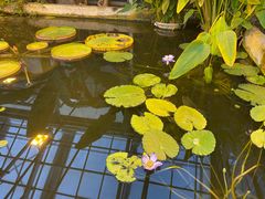 -国家植物园南园