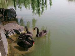 android_upload_pic-上海怡沁园度假酒店