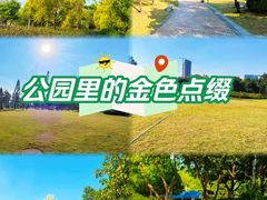 -海珠儿童公园