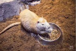 -酷嗒动物文化乐园(cutezoo西溪乐天城店)