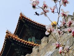 -东华门大街小区