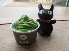 -雪绿茶博物馆