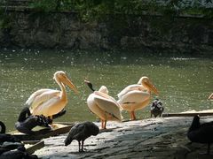 -黔灵山公园