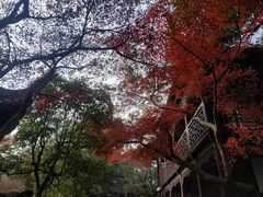 -虞山风景区