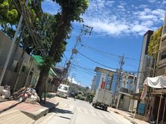 -白沙滩