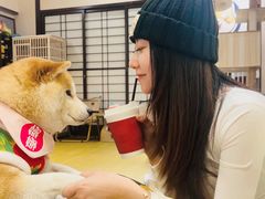 -逗柴咖啡屋·狗咖猫咖宠物桌游