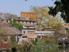 -欢姐伦教糕(北海大道北店)