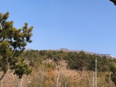 -石老人观光园