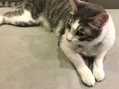 -小时光咖啡馆(开森度假森林店)