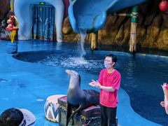 -烟台海昌鲸鲨海洋公园