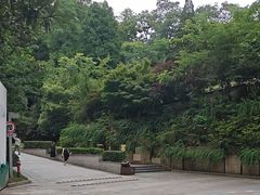 -云碧峰国家森林公园
