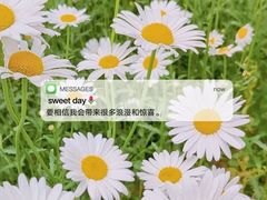 -上海滨江森林公园