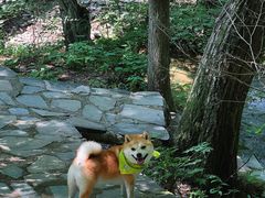 -本溪老边沟风景区