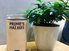 素匠泰珠珠茶-素匠泰茶(三里屯SOHO工体奶茶店)