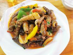 钉螺-记忠海鲜