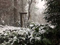 -天目湖涵田半山温泉
