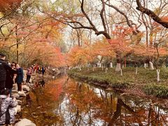 -国生茶庄·地道农家菜团建活动