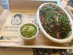 -油梨树AVOCADO TREE(顺义新国展店)