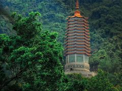 -深圳仙湖植物园