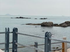 -海合安青岛极地海洋公园