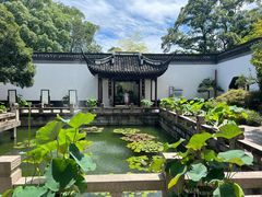 -上海醉白池公园