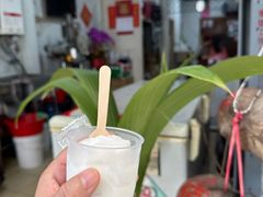 -洪馨椰子