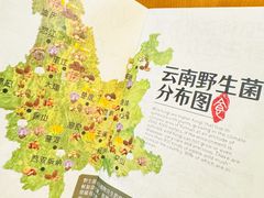 -一朵菌·野生菌探索家火锅(南亚店)