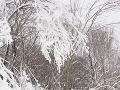 -鳌山滑雪度假区