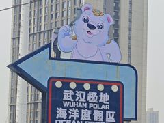 -海合安武汉极地海洋公园