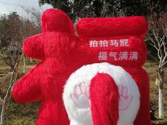 -广州市帽峰山景区