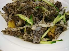 -南湖船菜大酒店