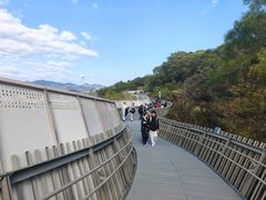 -福道