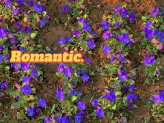 -石家庄市植物园