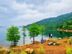 -东湖生态旅游风景区