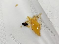 -鸿昇中西餐厅(石排店)